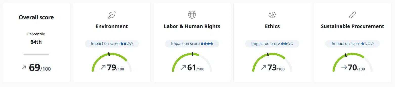 Infographic explaining EcoVadis evaluation categories: environment, labor & human rights, ethics, and sustainable procurement