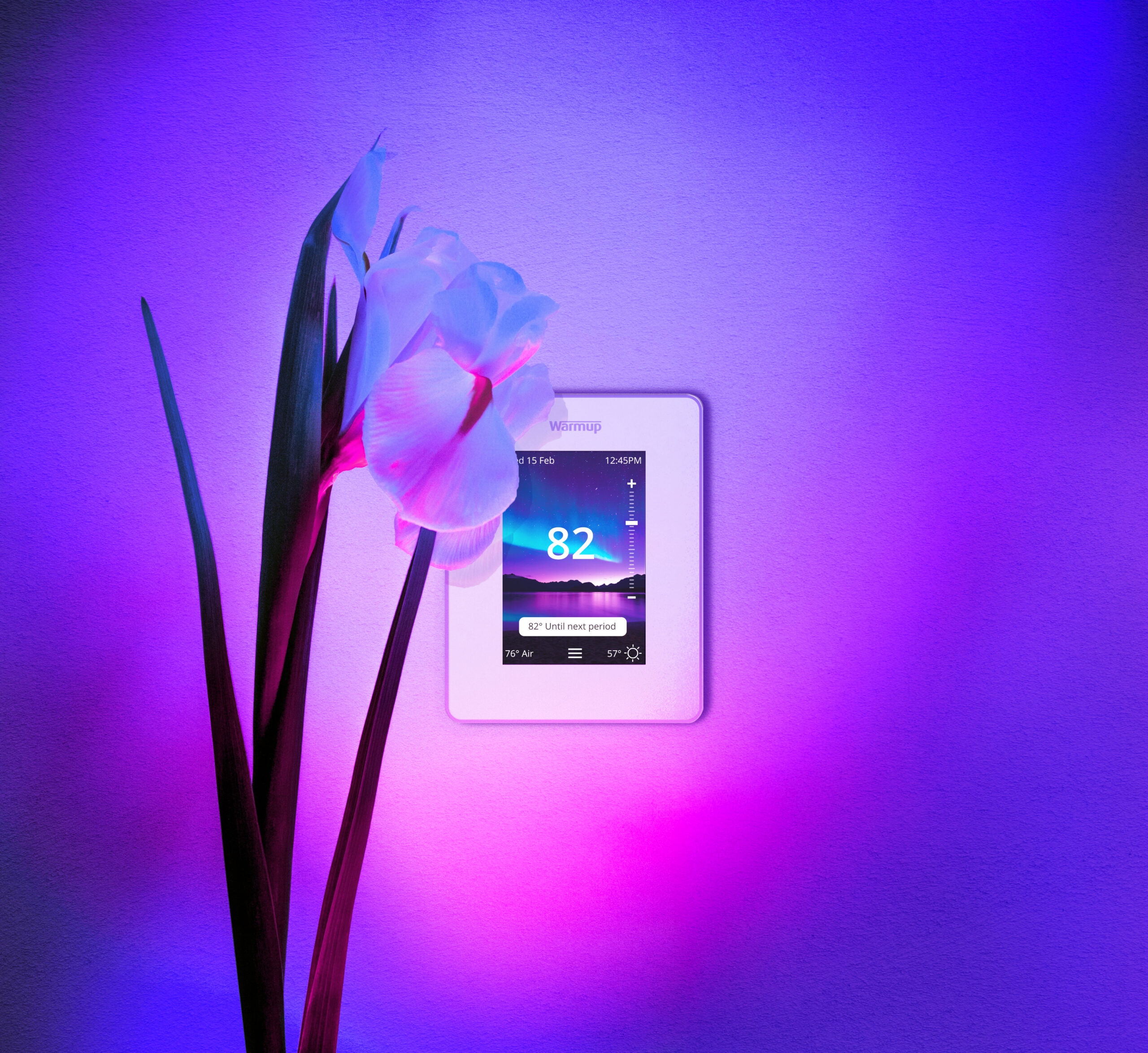 Warmup's 7iE Smart Matter Thermostat mounted on the wall next to an orchid plant.