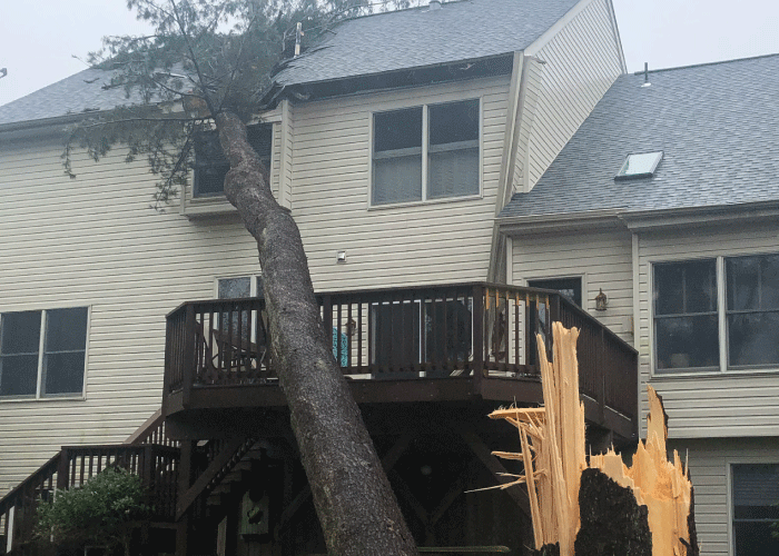 Tree on house after storm