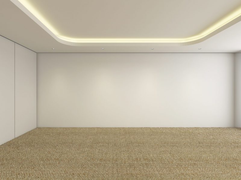 modern empty room with carpet flooring