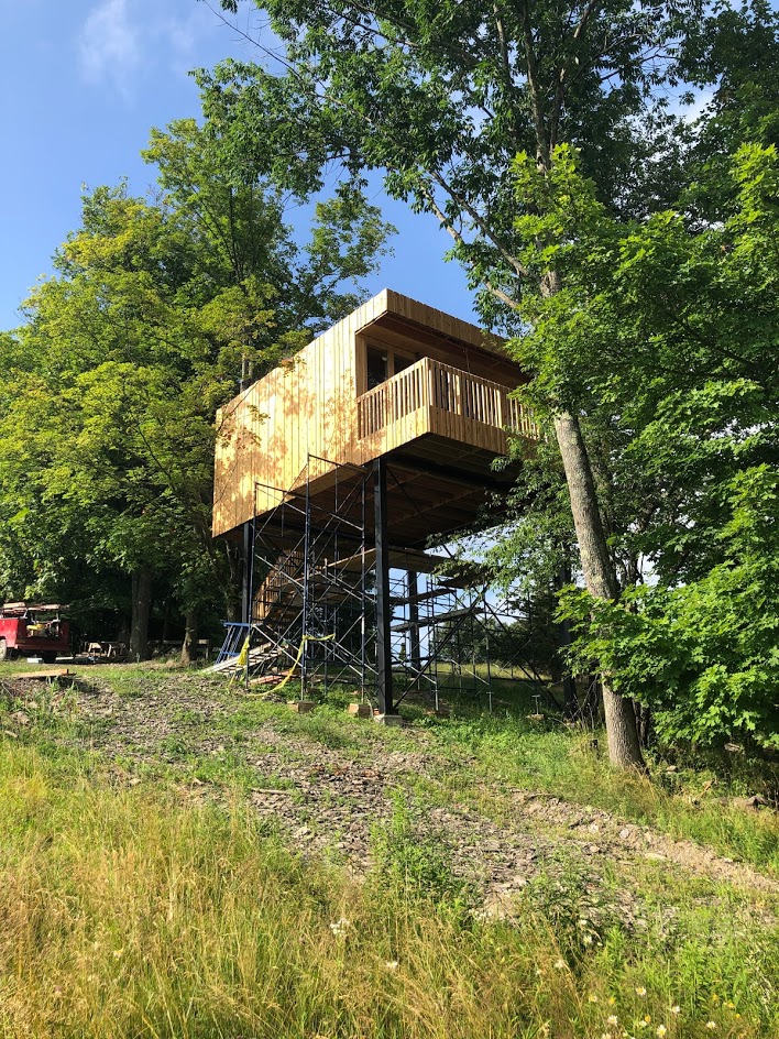 Radiant Floor Heating Systems: Tree House